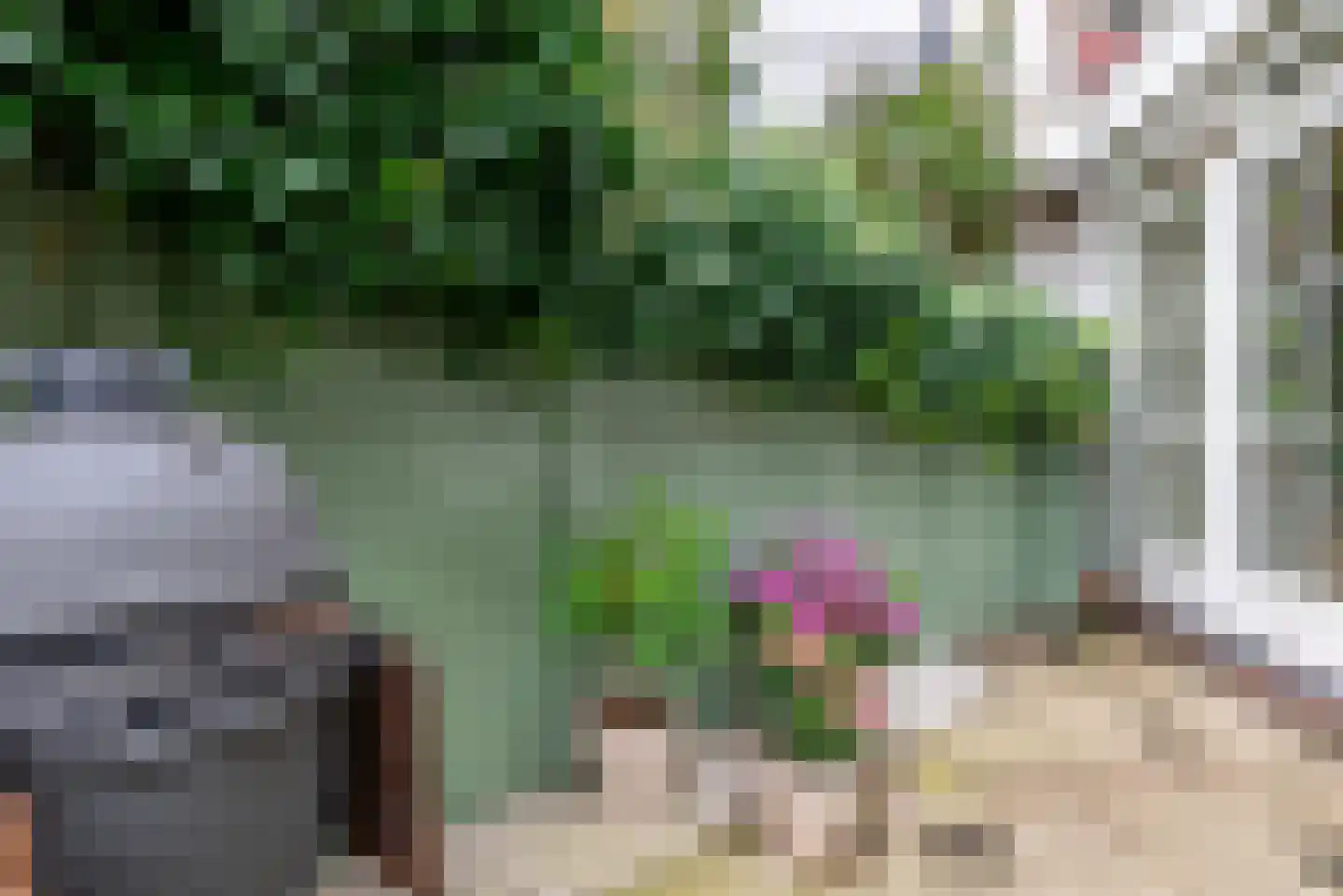 Rietwijkerstraat 87 Amsterdam thumbnail 22