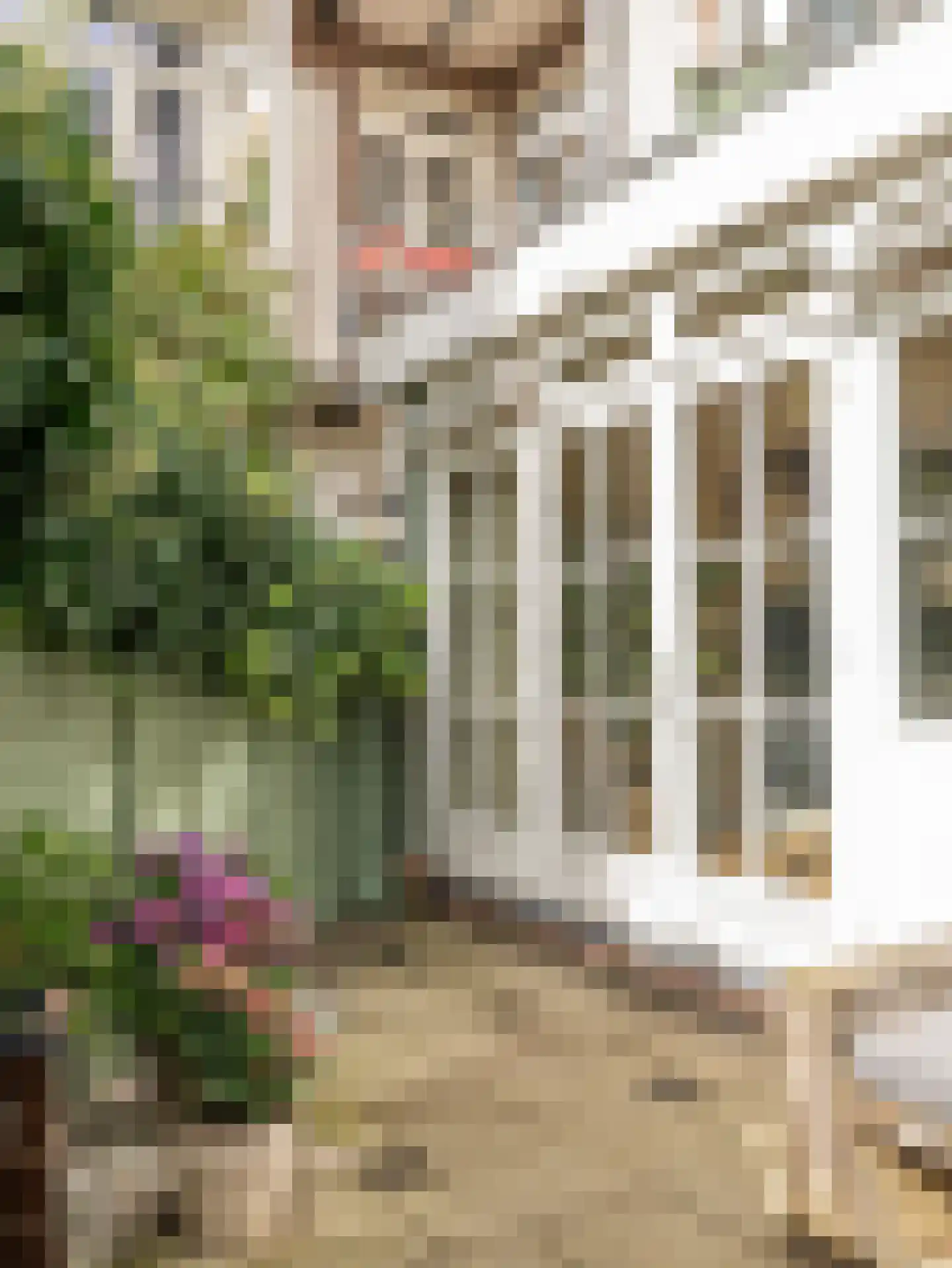 Rietwijkerstraat 87 Amsterdam thumbnail 24