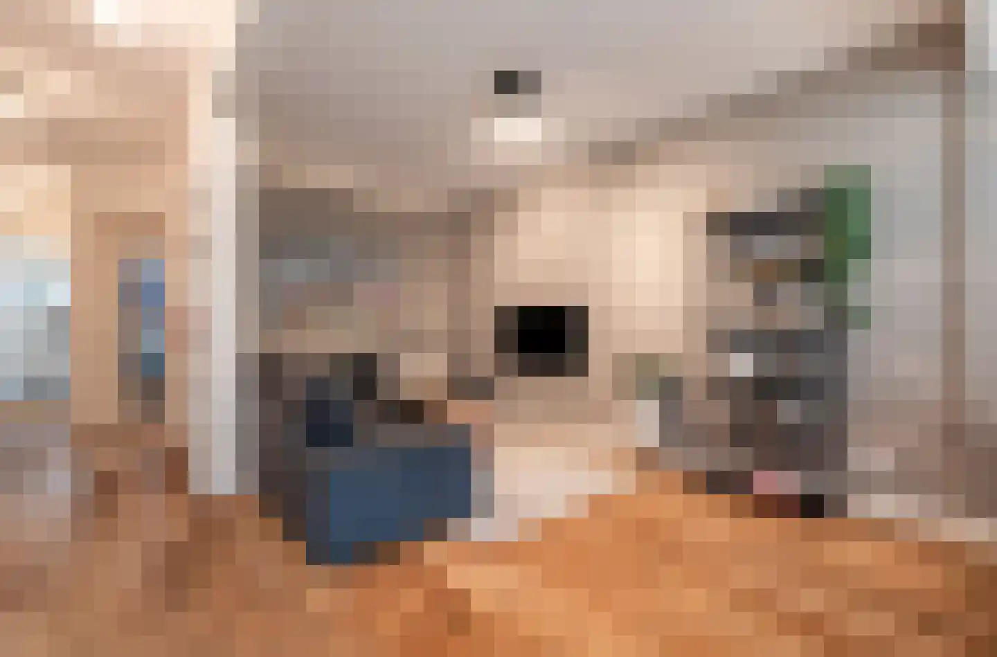 Rietwijkerstraat 87 Amsterdam thumbnail 8