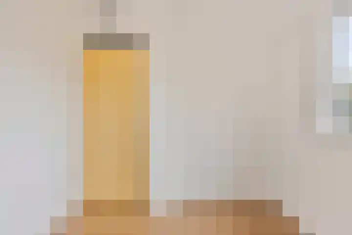 Rietzanger 10 Hoorn thumbnail 23