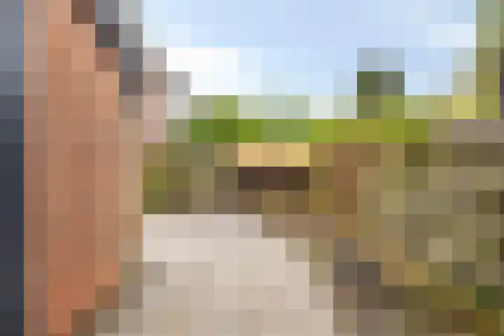 Rietzanger 10 Hoorn thumbnail 26