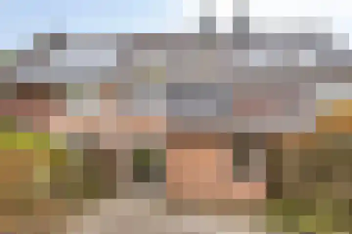 Rietzanger 10 Hoorn thumbnail 28