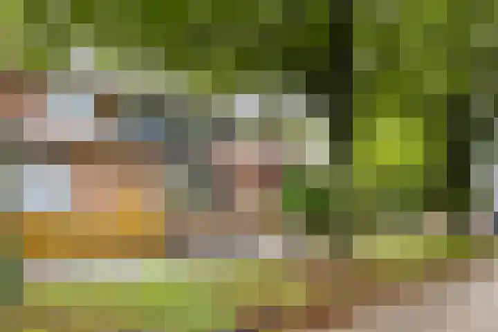 Rietzanger 10 Hoorn thumbnail 6
