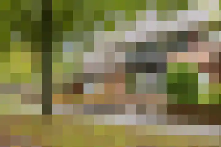 Rietzanger 10 Hoorn thumbnail 7