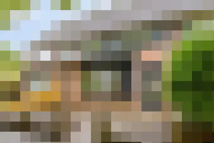 Rietzanger 10 Hoorn thumbnail 8