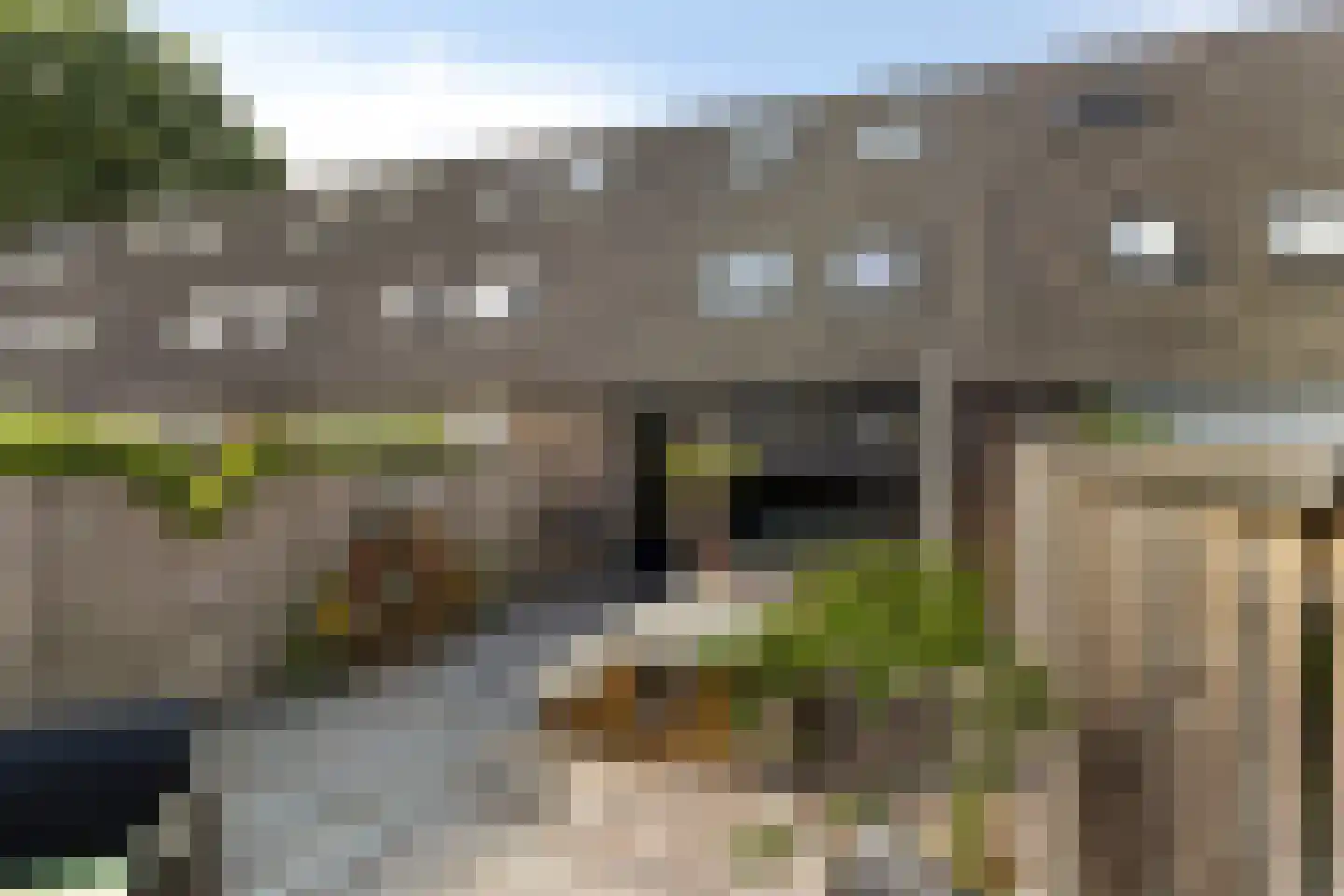 Rietzanger 10 Veenendaal thumbnail 44
