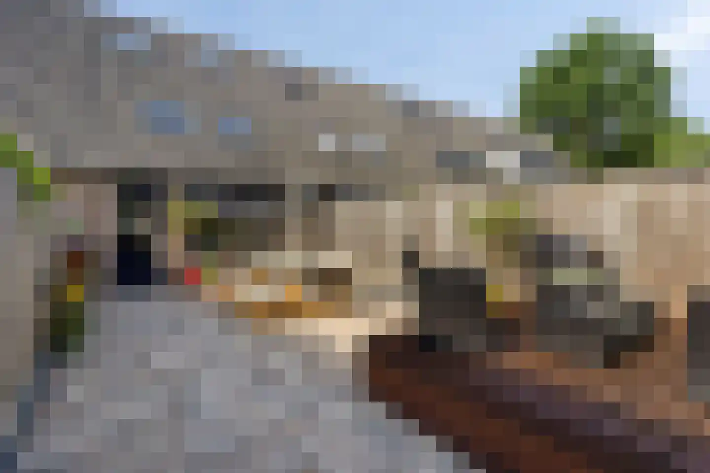Rietzanger 10 Veenendaal thumbnail 5