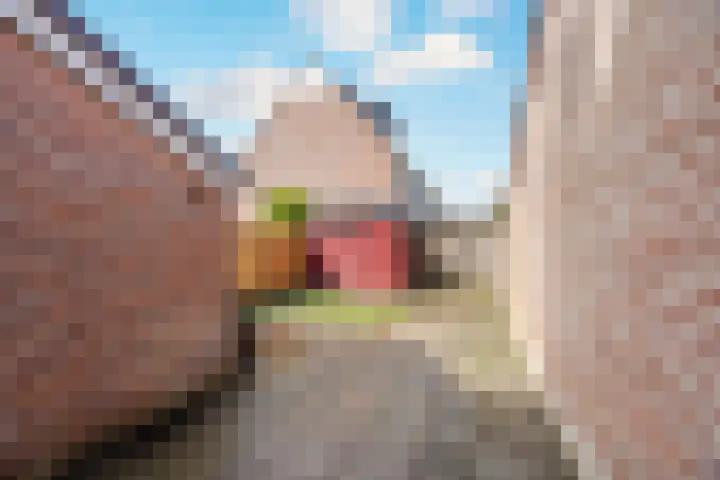 Rietzanger 102 Hoorn thumbnail 19