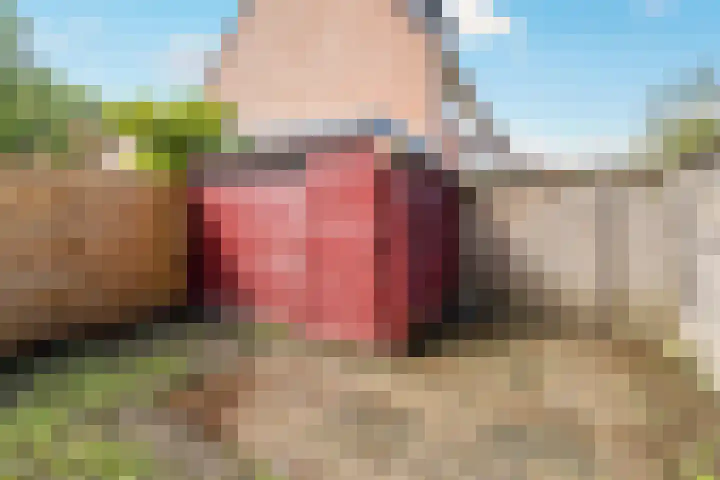 Rietzanger 102 Hoorn thumbnail 20