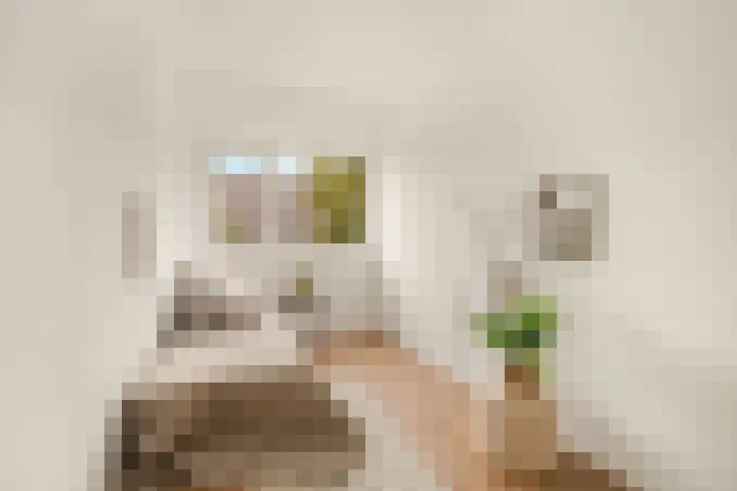 Rietzanger 102 Hoorn thumbnail 26
