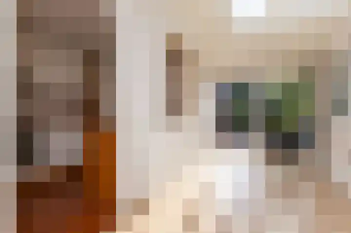 Rietzanger 119 Hoorn thumbnail 10