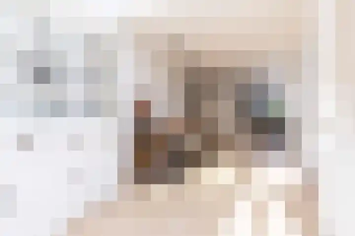 Rietzanger 119 Hoorn thumbnail 16