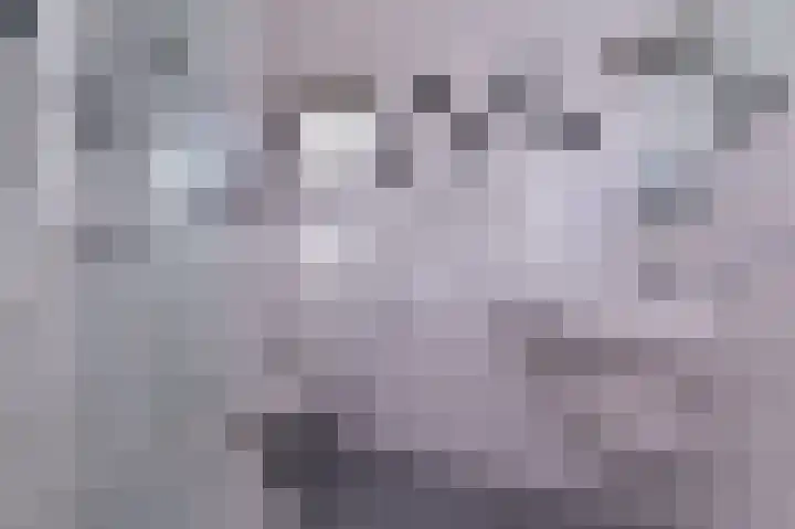 Rietzanger 119 Hoorn thumbnail 21