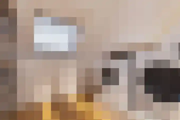 Rietzanger 119 Hoorn thumbnail 27