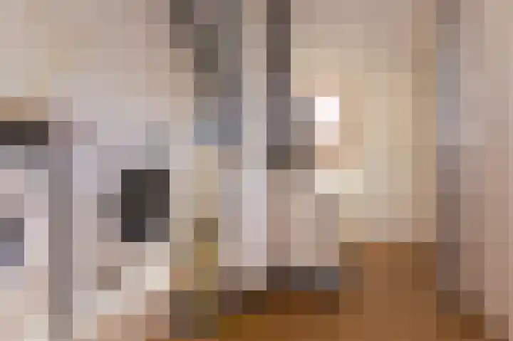 Rietzanger 119 Hoorn thumbnail 28
