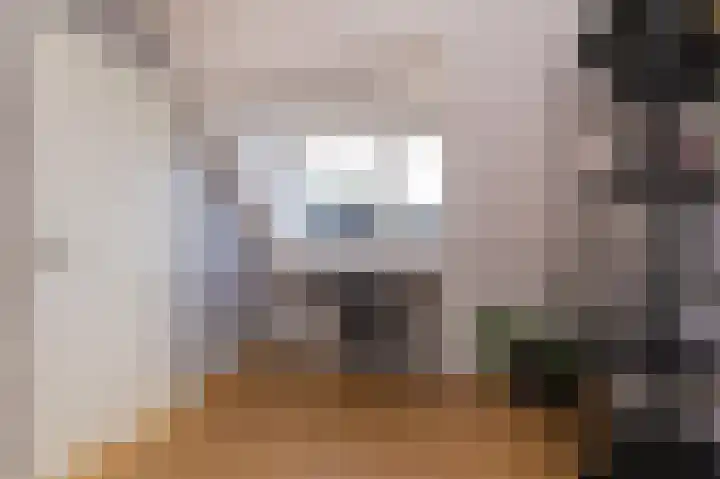 Rietzanger 119 Hoorn thumbnail 29