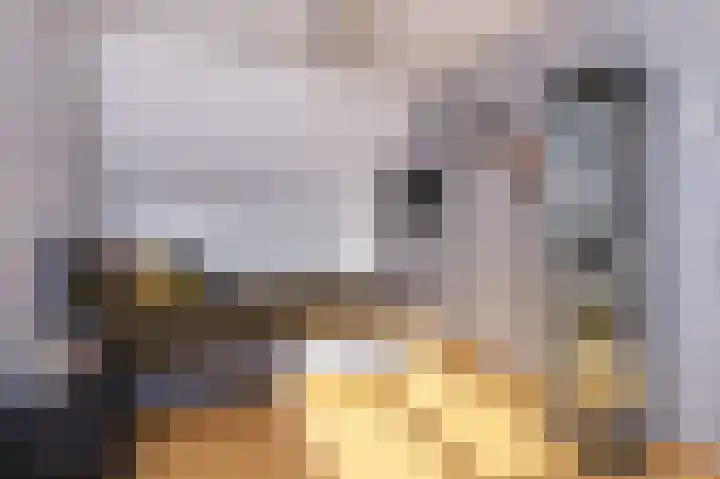 Rietzanger 119 Hoorn thumbnail 30