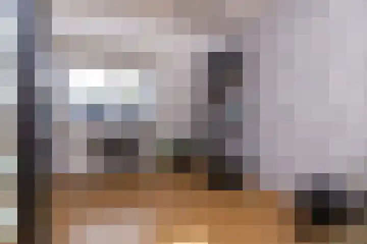 Rietzanger 119 Hoorn thumbnail 31
