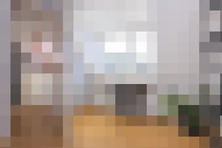 Rietzanger 119 Hoorn thumbnail 32