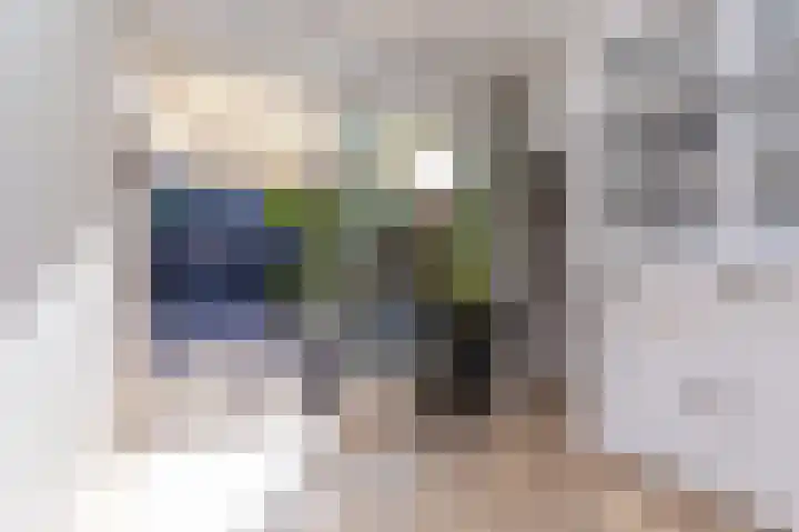 Rietzanger 119 Hoorn thumbnail 33