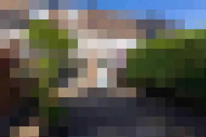 Rietzanger 119 Hoorn thumbnail 36