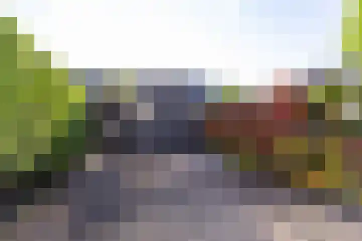 Rietzanger 119 Hoorn thumbnail 38