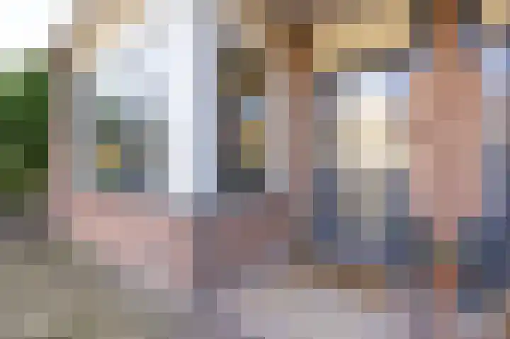Rietzanger 119 Hoorn thumbnail 4
