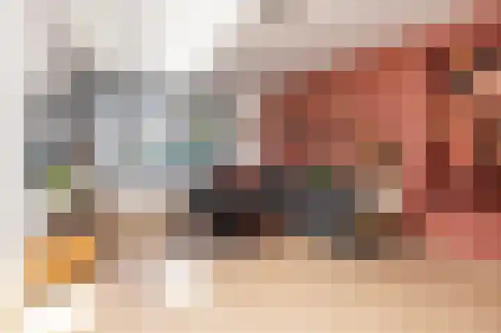 Rietzanger 119 Hoorn thumbnail 5
