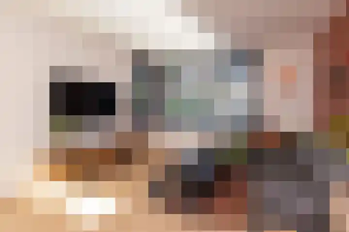 Rietzanger 119 Hoorn thumbnail 6