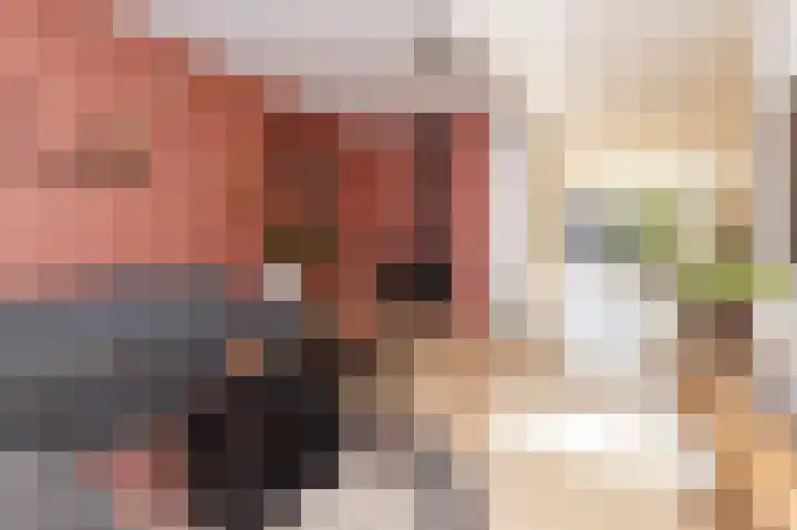 Rietzanger 119 Hoorn thumbnail 7