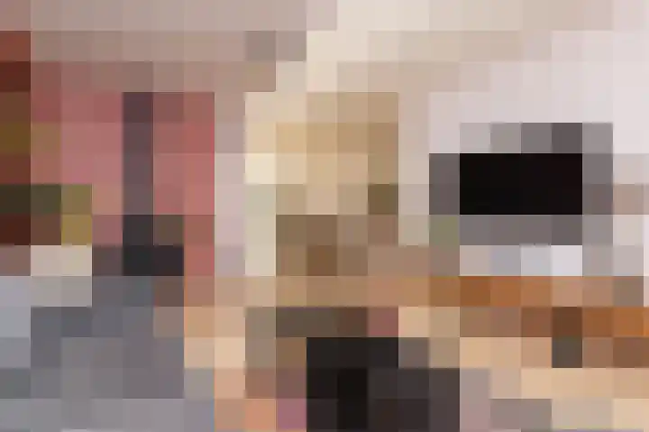 Rietzanger 119 Hoorn thumbnail 8