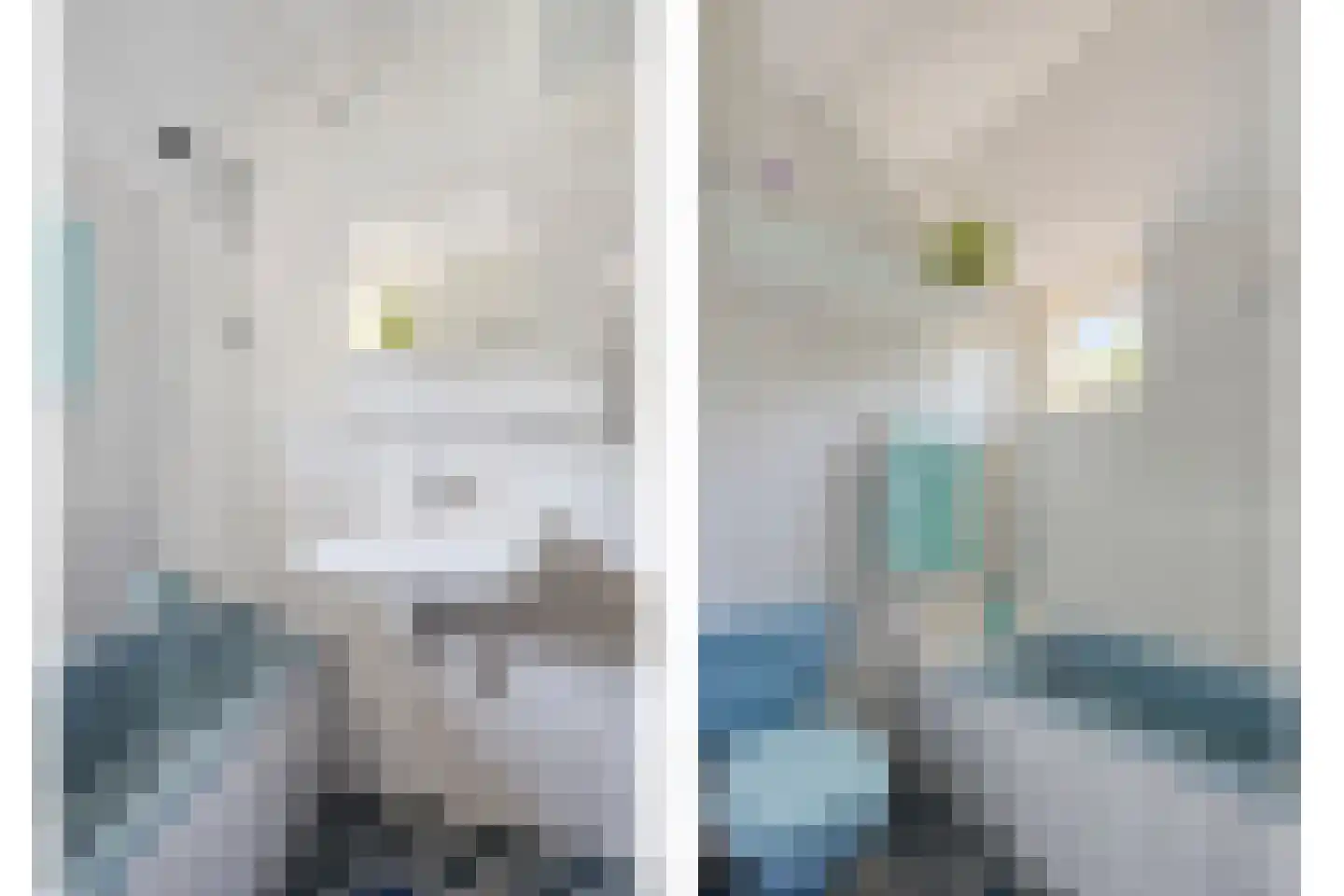 Rietzanger 16 Hoorn thumbnail 13