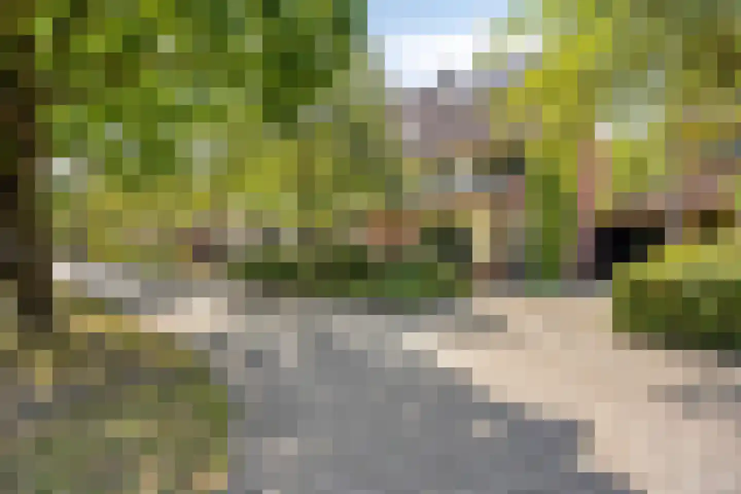 Rietzanger 16 Hoorn thumbnail 16