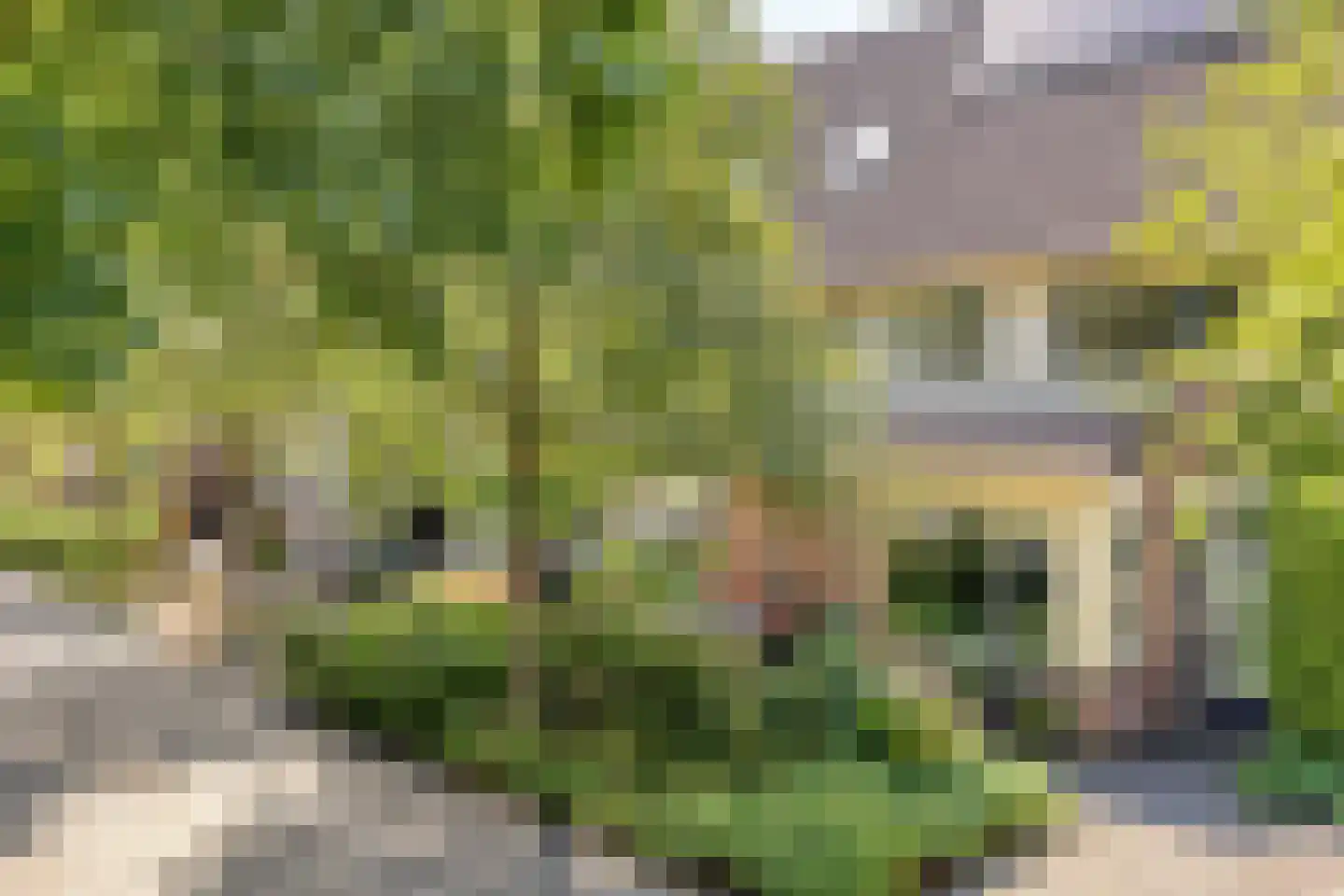 Rietzanger 16 Hoorn thumbnail 17