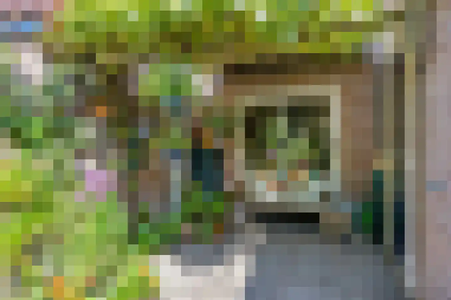 Rietzanger 16 Hoorn thumbnail 19