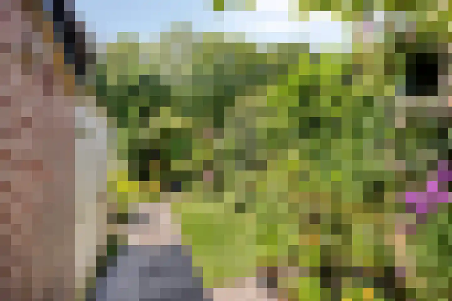 Rietzanger 16 Hoorn thumbnail 20