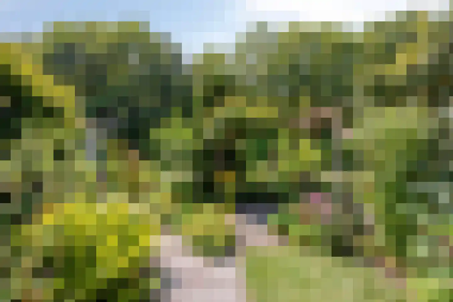 Rietzanger 16 Hoorn thumbnail 21