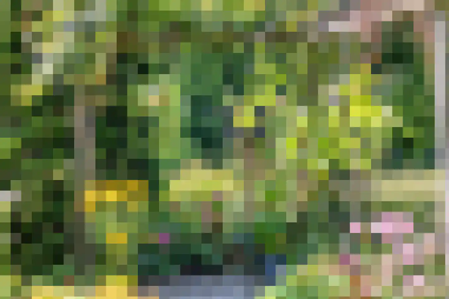 Rietzanger 16 Hoorn thumbnail 23
