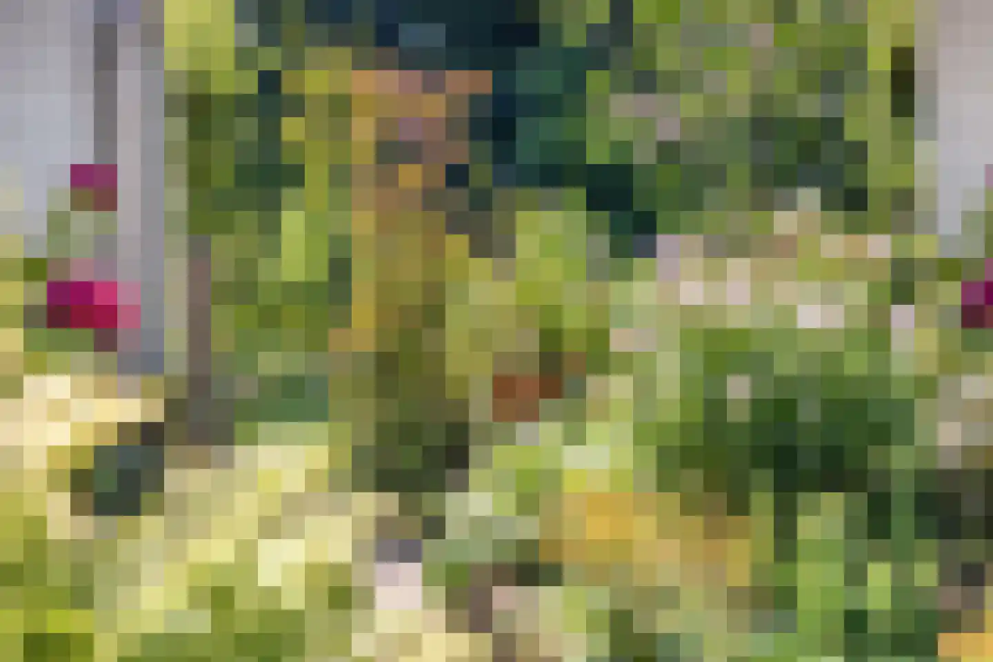 Rietzanger 16 Hoorn thumbnail 24