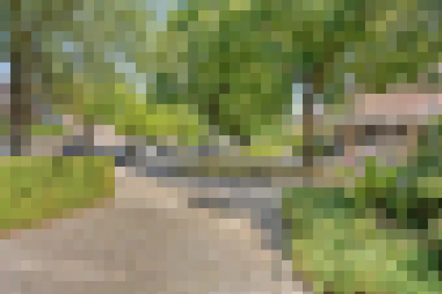 Rietzanger 16 Hoorn thumbnail 25