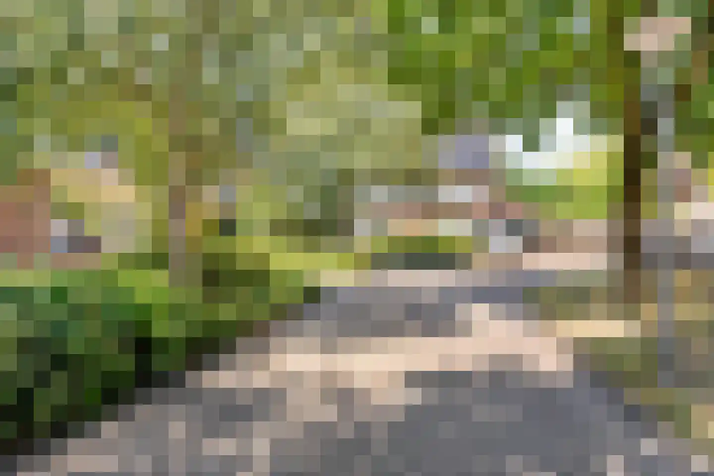 Rietzanger 16 Hoorn thumbnail 26