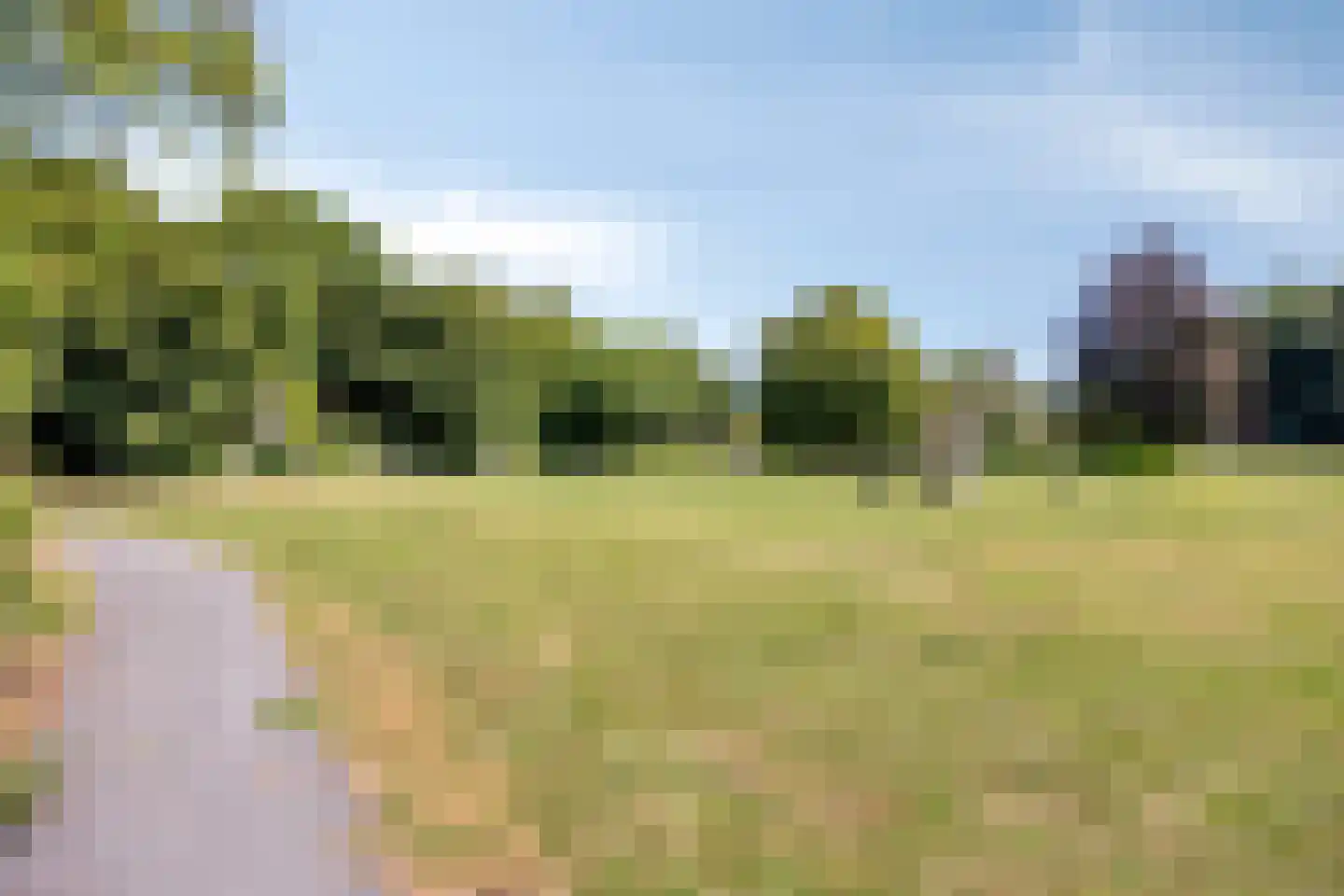 Rietzanger 16 Hoorn thumbnail 27