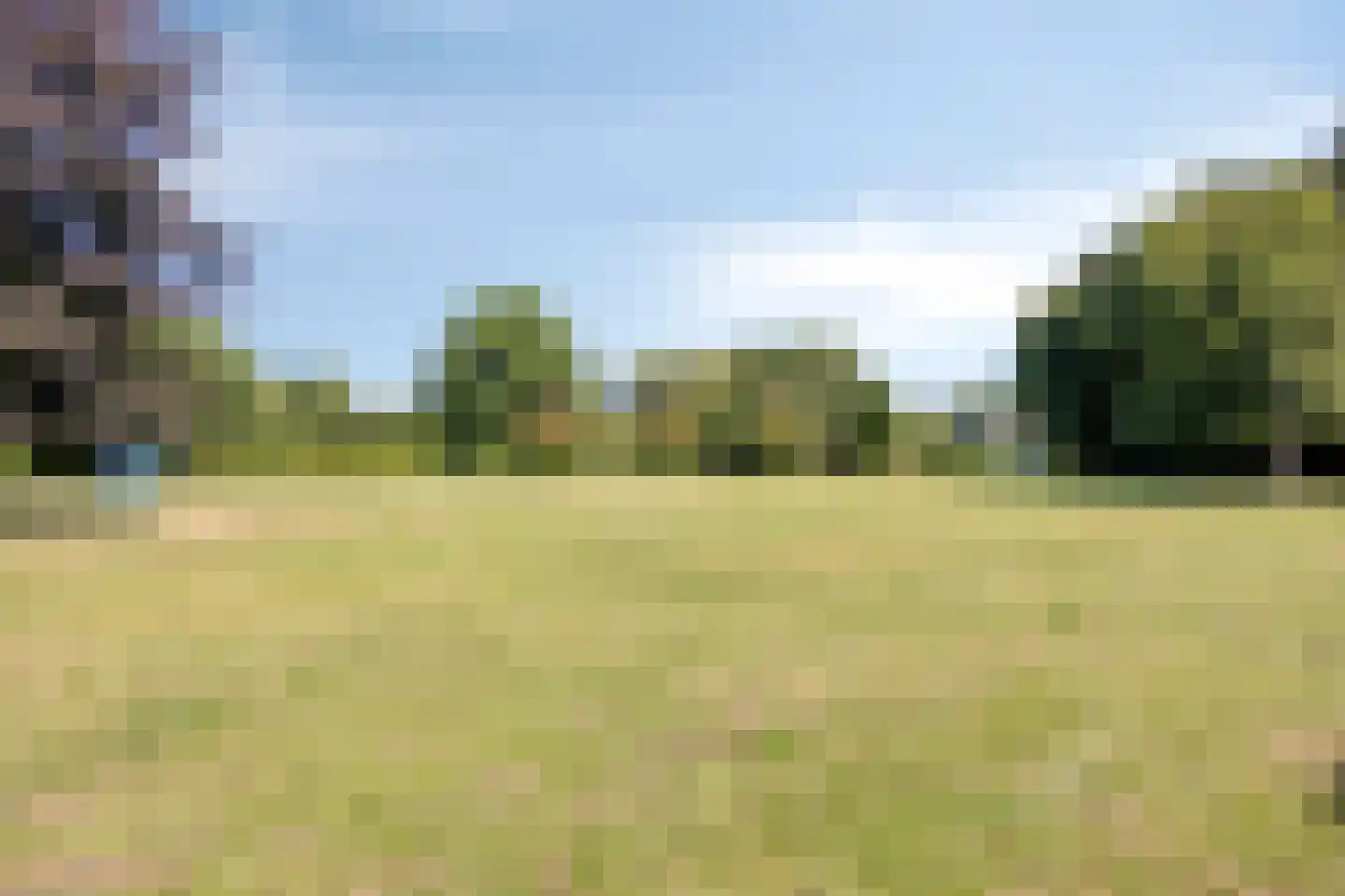Rietzanger 16 Hoorn thumbnail 28