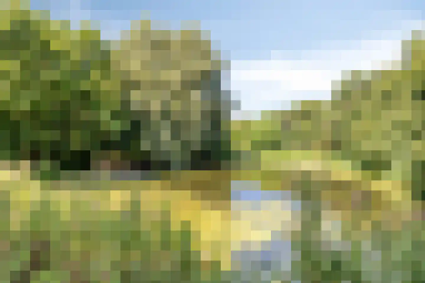 Rietzanger 16 Hoorn thumbnail 29
