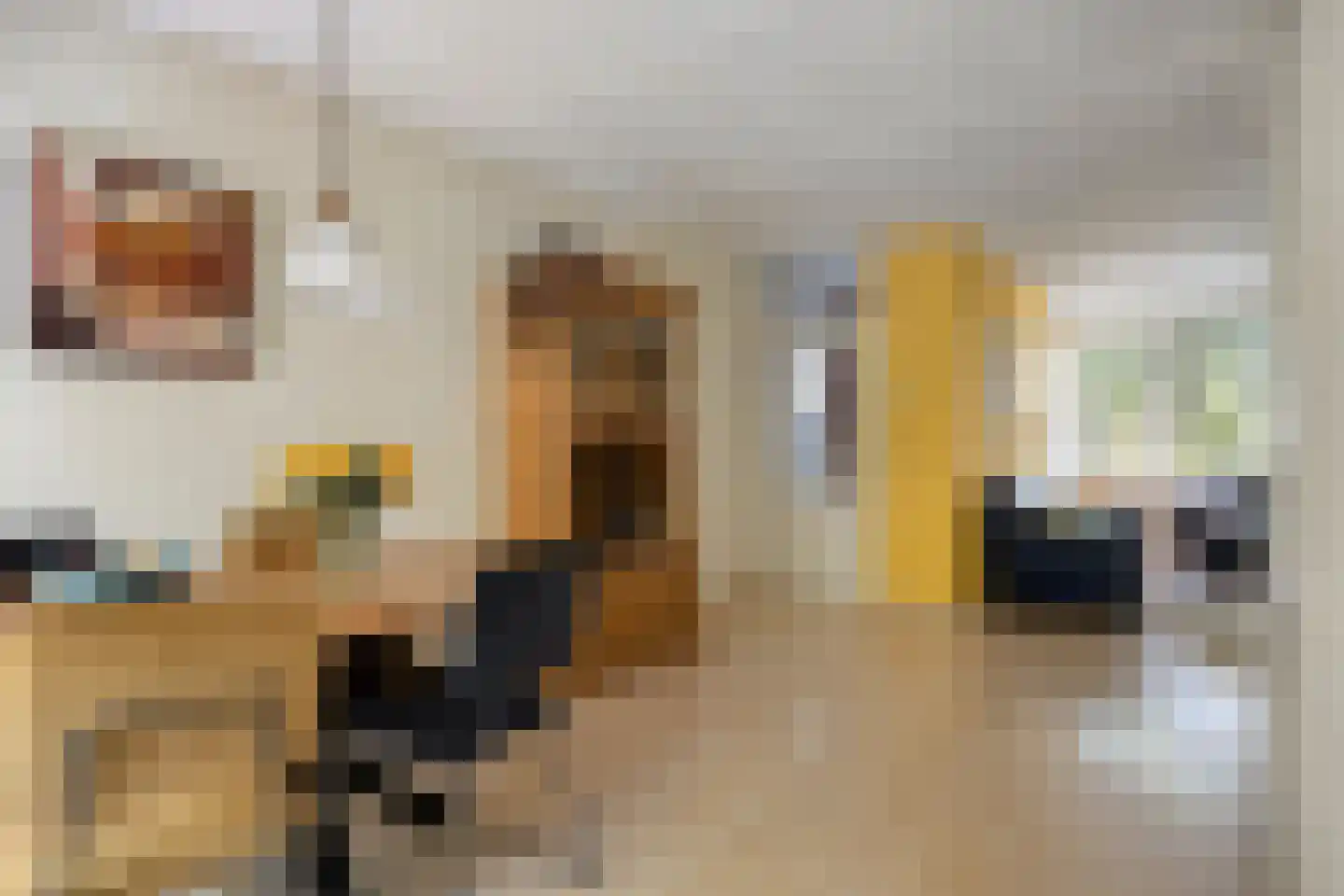 Rietzanger 16 Hoorn thumbnail 4