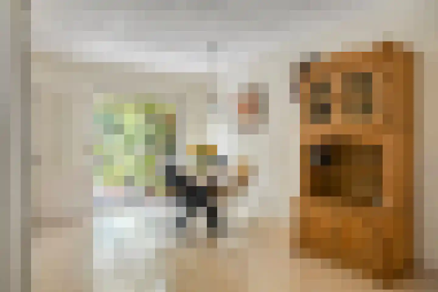 Rietzanger 16 Hoorn thumbnail 6