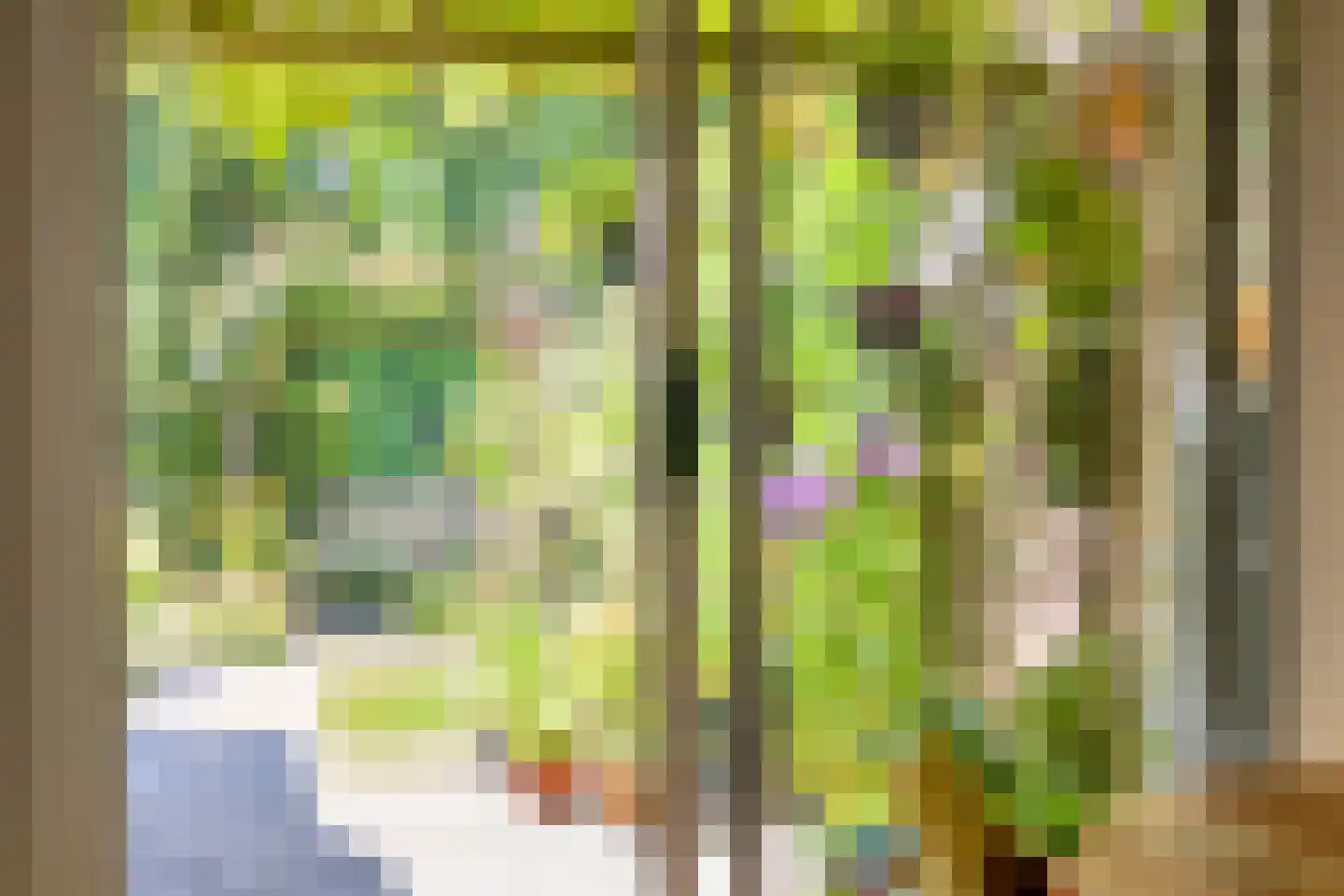 Rietzanger 16 Hoorn thumbnail 7