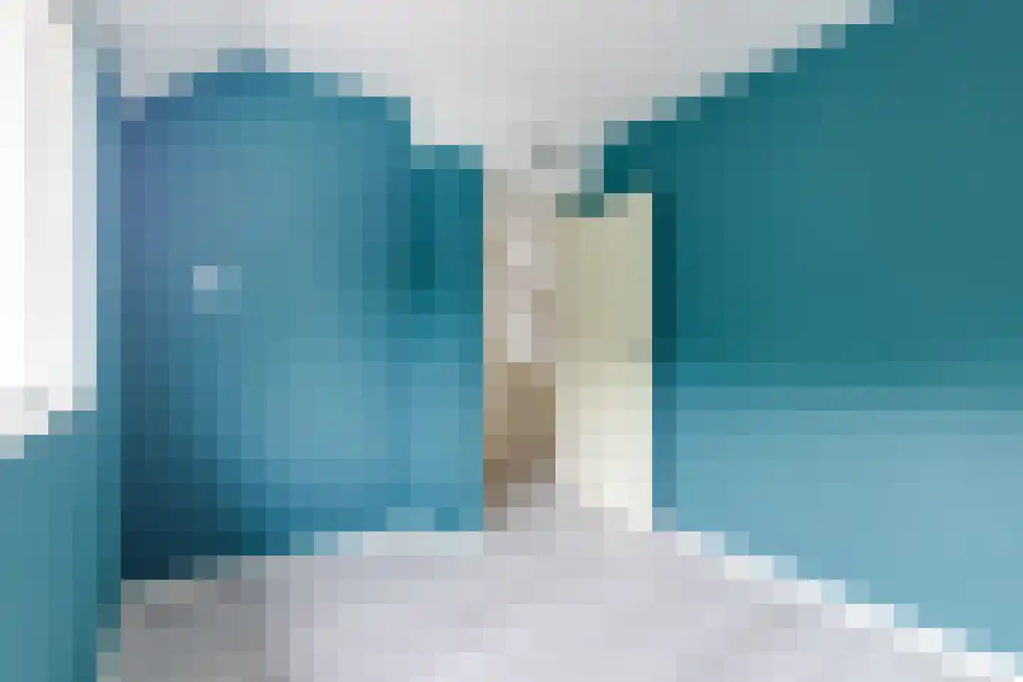Rietzanger 19 Hoorn thumbnail 32