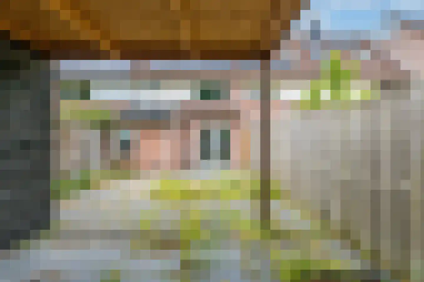 Rietzanger 19 Hoorn thumbnail 50
