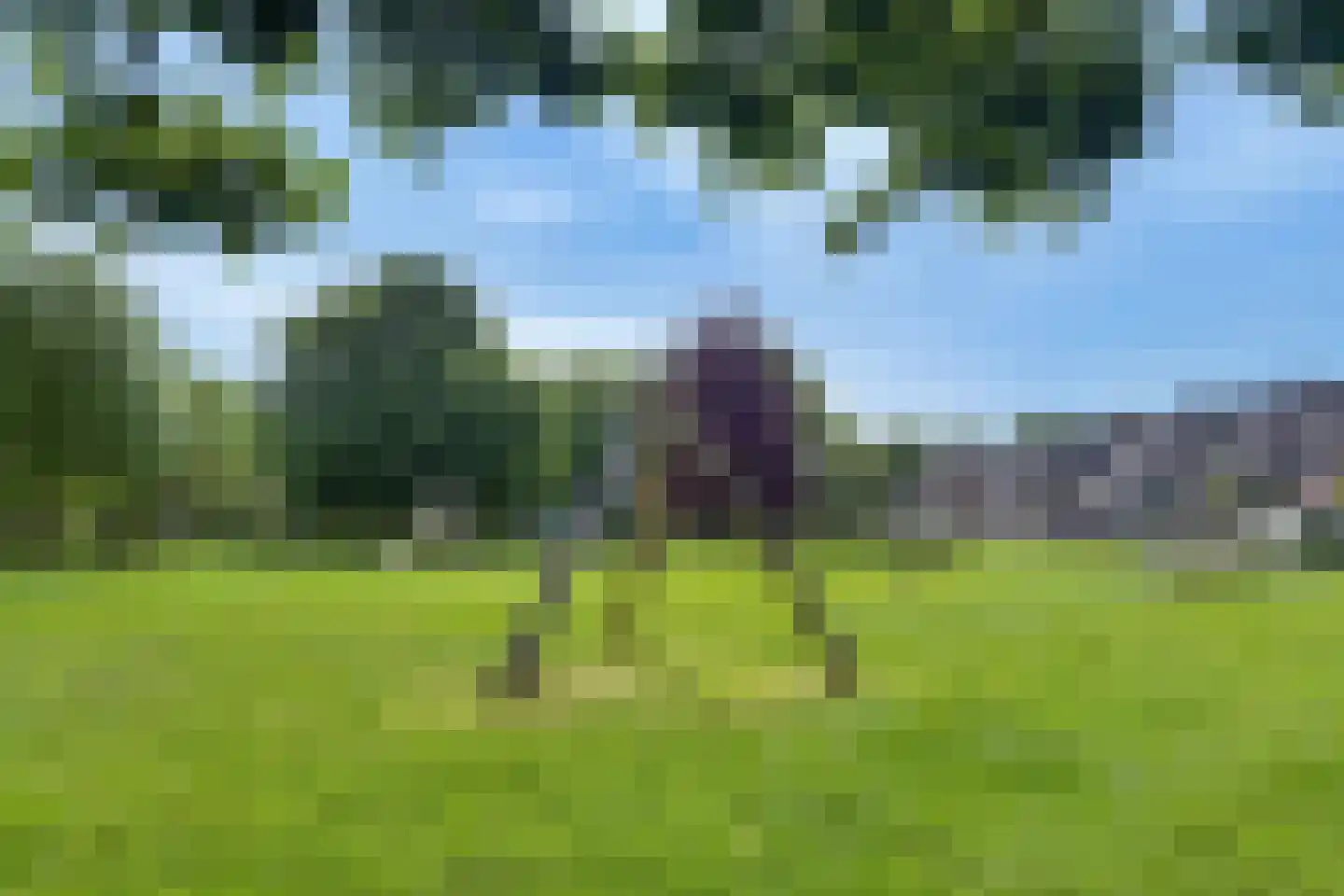 Rietzanger 19 Hoorn thumbnail 57